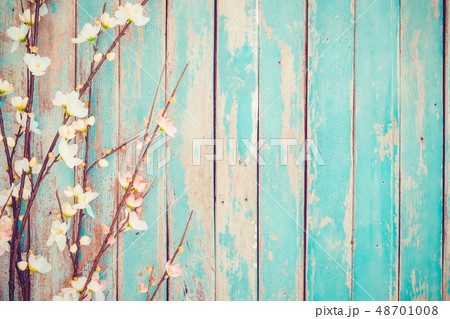 Cherry blossom flowers 48701008