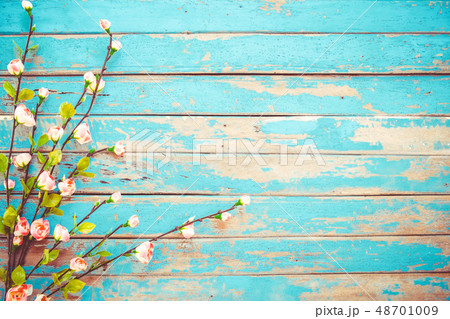 Cherry blossom flowers Cherry blossom flowers 48701009