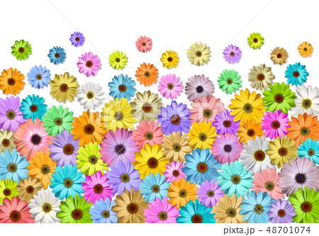 デイジーの花いっぱいのイラスト素材