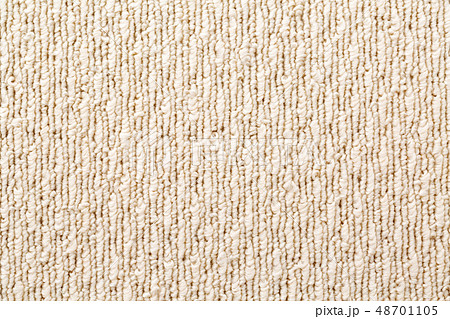 カーペット カーペット 48701105