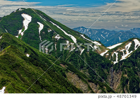 越後駒ヶ岳から望む残雪と新緑の中ノ岳 48701349