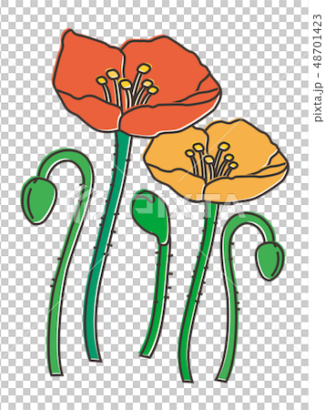 ポピー poppy ポピー poppy 48701423