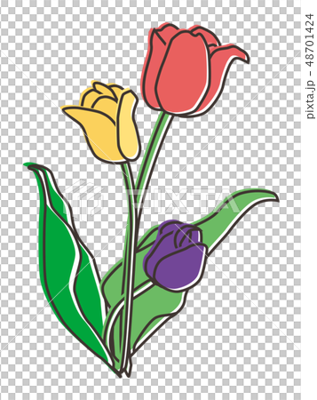 チューリップ tulip 48701424