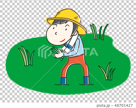 Farmer rice planting rice planting - Stock Illustration [48701427] - PIXTA