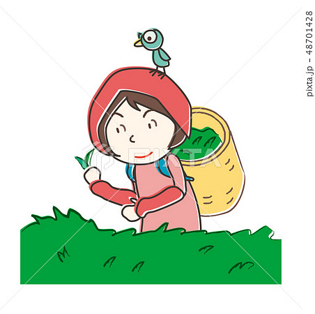 農家 茶摘み tea picking 農家 茶摘み tea picking 48701428