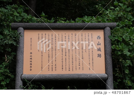 西山城（長野県） 48701867