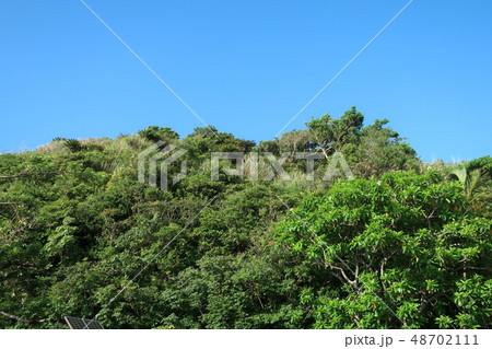 奄美大島大和村2018年8月_1 48702111