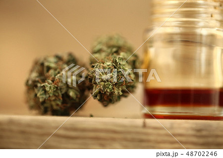 close up recreation marijuana medical cannabis oil close up recreation marijuana medical cannabis oil 48702246