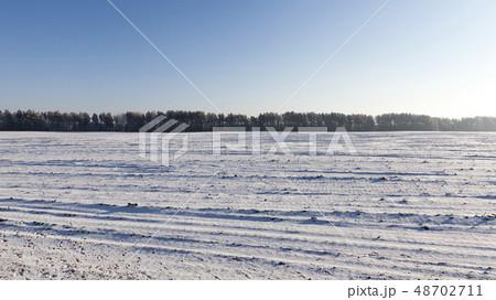 winter landscape field 48702711