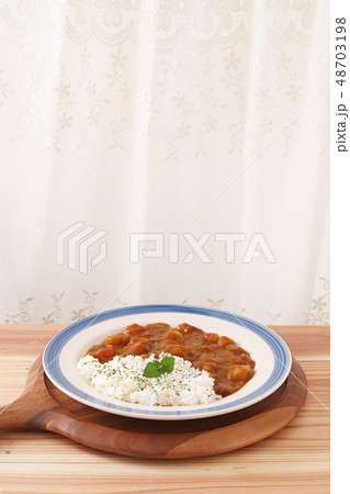 おいしそうなカレーライス おいしそうなカレーライス 48703198