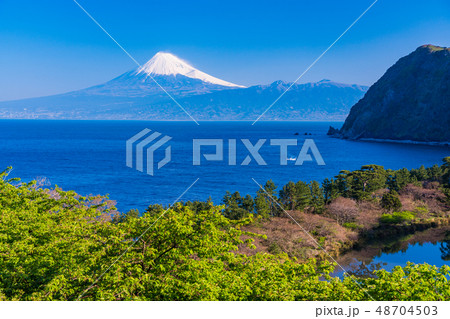 （静岡県）西伊豆井田から、海越しの富士山 48704503