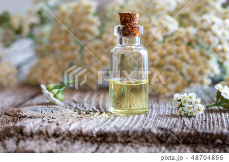 A bottle of yarrow essential oil with yarrow 48704866