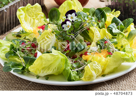 Vegetable salad with fresh microgreens and flowers 48704873