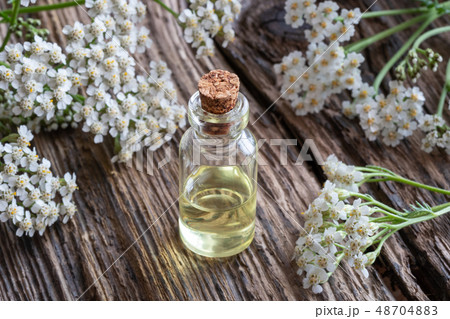 A bottle of yarrow essential oil with yarrow A bottle of yarrow essential oil with yarrow 48704883