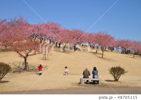 いせさき市民のもり公園の写真素材