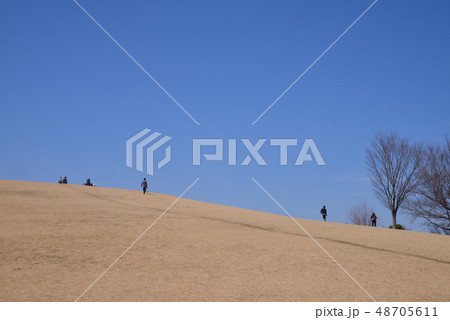 いせさき市民のもり公園 48705611