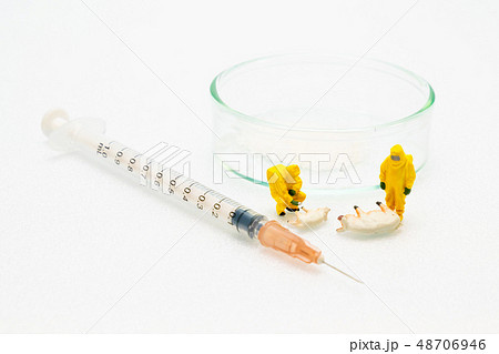 社会問題(豚コレラ) 社会問題(豚コレラ) 48706946