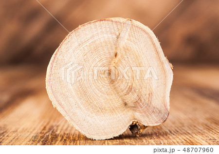 Texture of cross section juniper wood. Pattern of tree stump background. Circles slice of juniper. 48707960
