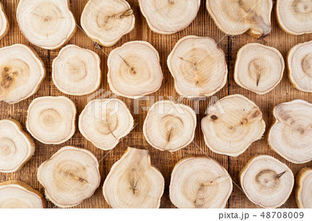 Texture of cross section juniper wood. Pattern of tree stump background. Circles slice of juniper. 48708009