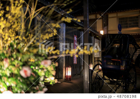 東山花灯路 東山花灯路 48708198