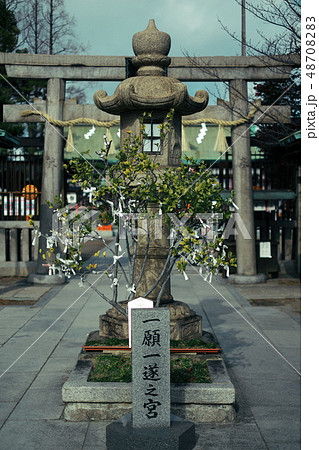 阿部野神社 大阪 阿部野神社 大阪 48708283