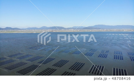有明海　のり養殖 48708416