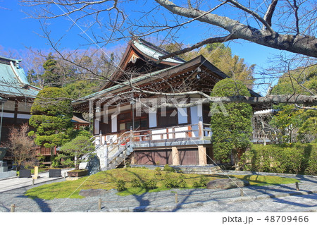 【神奈川県】晴天下の報国寺 48709466