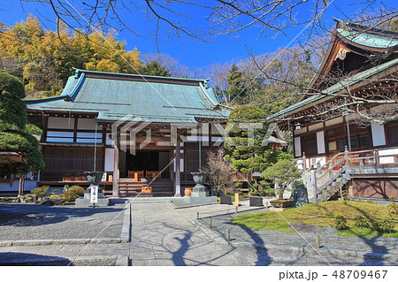 【神奈川県】晴天下の報国寺の本堂 48709467