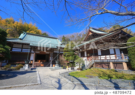 【神奈川県】晴天下の報国寺の本堂 【神奈川県】晴天下の報国寺の本堂 48709472