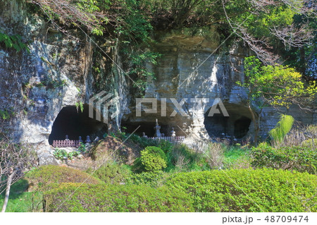 【神奈川県】報国寺 足利氏のやぐら 【神奈川県】報国寺 足利氏のやぐら 48709474