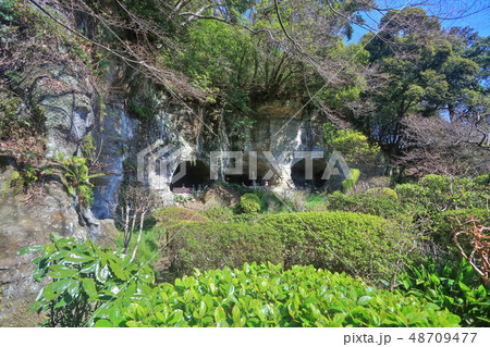 【神奈川県】報国寺 足利氏のやぐら 【神奈川県】報国寺 足利氏のやぐら 48709477