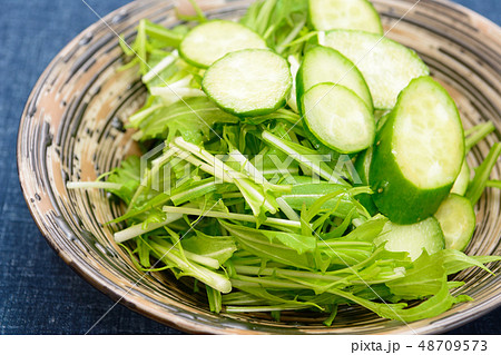 美味しい水菜ときゅうりの写真素材