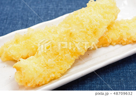 美味しいイカ天 美味しいイカ天 48709632