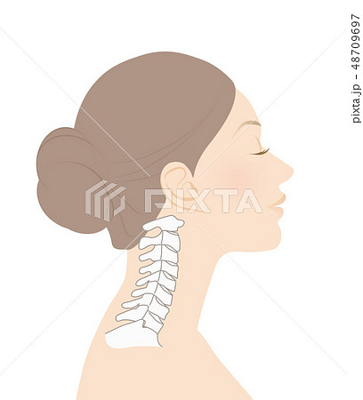 正常な頸椎 48709697