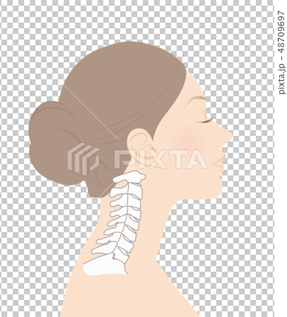 正常な頸椎 48709697