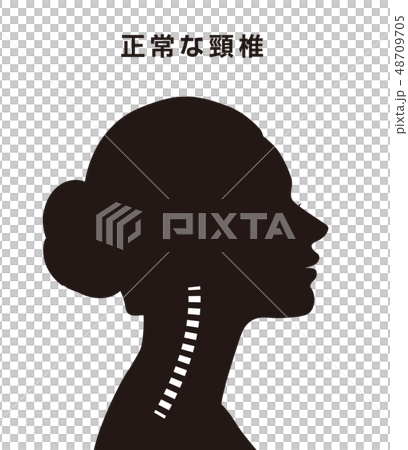 正常な頸椎 48709705