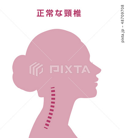 正常な頸椎 48709708
