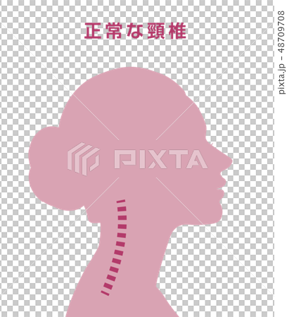 正常な頸椎 48709708