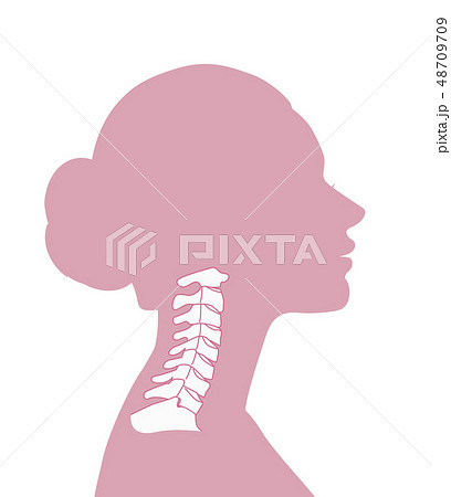 正常な頸椎 48709709
