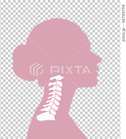 正常な頸椎 48709709