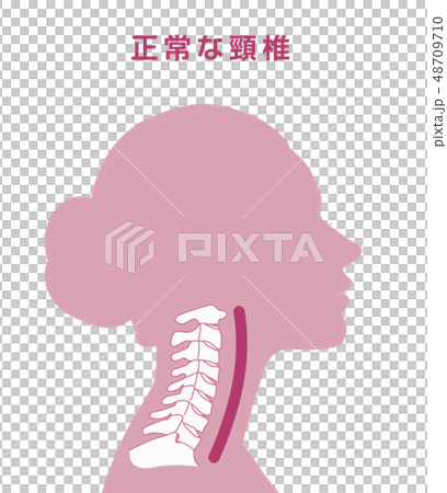 Normal cervical vertebra Normal cervical vertebra 48709710