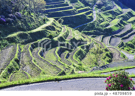 田植え準備の泉谷の棚田 48709859