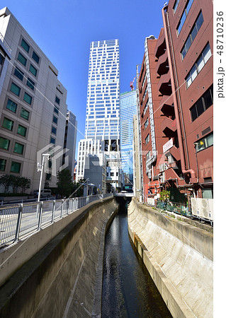 渋谷区の渋谷川と高層ビル 48710236