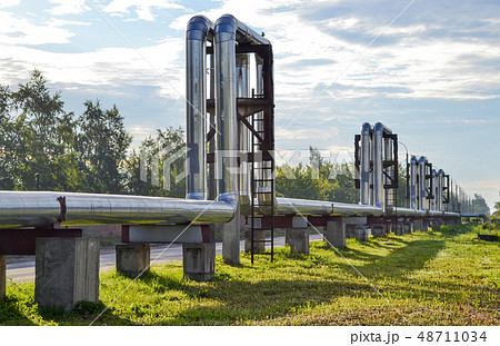 Overground heat pipes. Pipeline above the earth 48711034