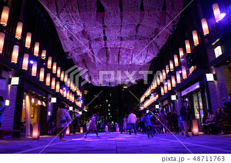 日本橋サクラカーペット 桜の絨毯（仲通り）1 48711763