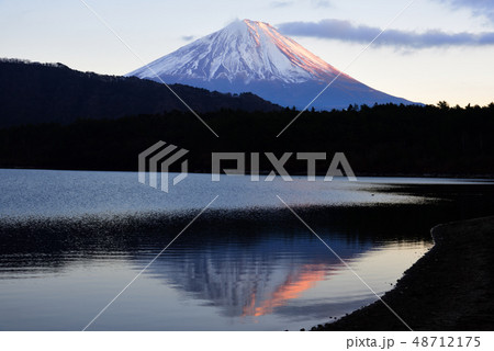 【富士山】　静岡　逆さ富士　西湖　夕暮れ　1月 48712175