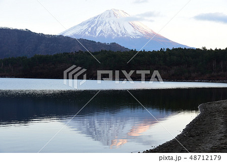 【富士山】　静岡　逆さ富士　西湖　夕暮れ　1月 48712179