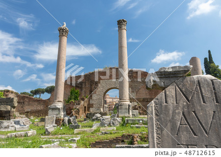 Ruins of ancient Basilica Emilia in Forum Romanum. 48712615