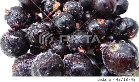 frozen black currant with ice isolated on white  48713748