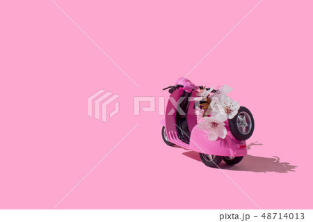 Pink retro toy bike delivering bouquet of flowers 48714013